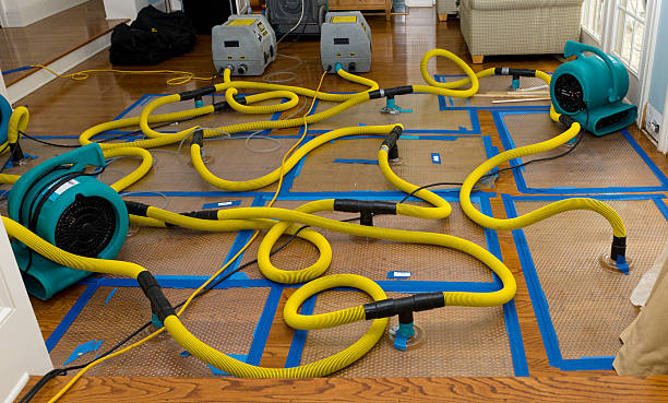 Professional Crawl Space Water Removal technician working in Milaca, MN
